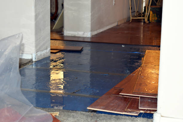 Professional Burst Pipe Cleanup technician working in Brentwood, MD